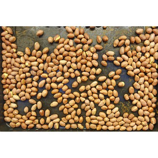 [Nông sản Việt] BỘT ĐẬU PHỘNG - ĐẬU LẠC