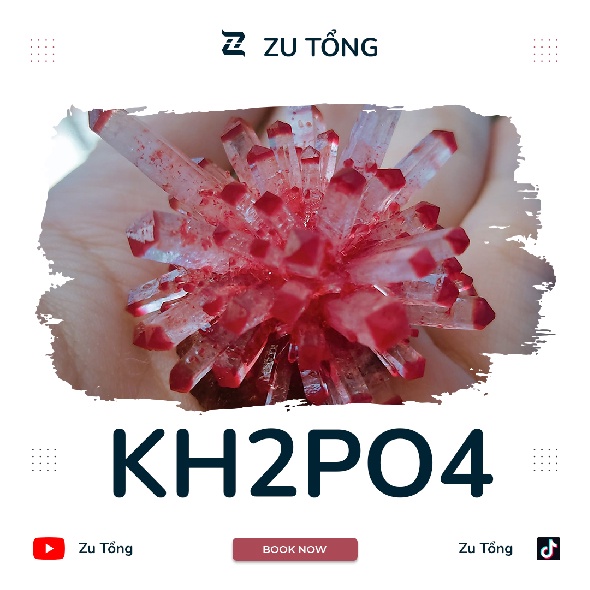 500g KDP tinh khiết dùng để nuôi tinh thể