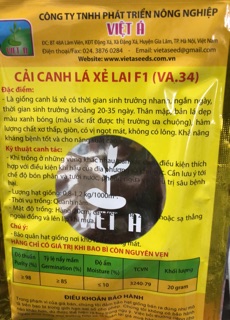 Cải Canh mèo lá xẻ 20 gram ☘️