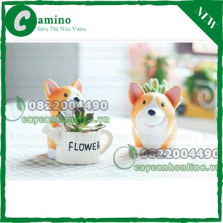 Chậu cây mini hình cún yêu trồng cây cẩm nhung sen đá xương rồng chất liệu composite