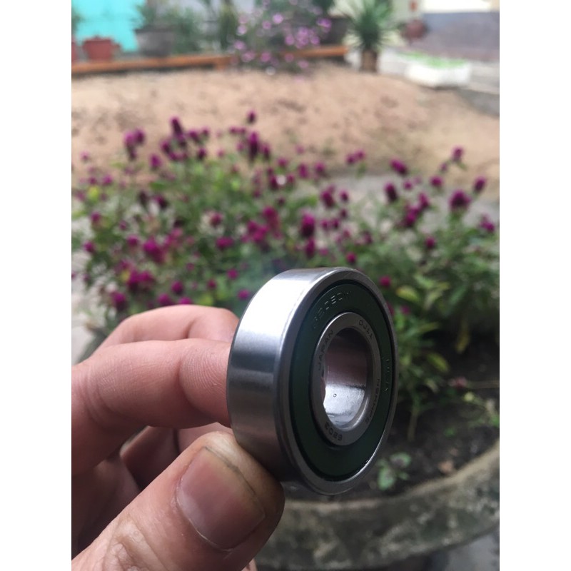 Vòng bi NSK 6203 DW chính hãng cho động cơ tốc độ cao