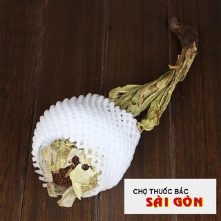 Thiên Sơn Tuyết Liên