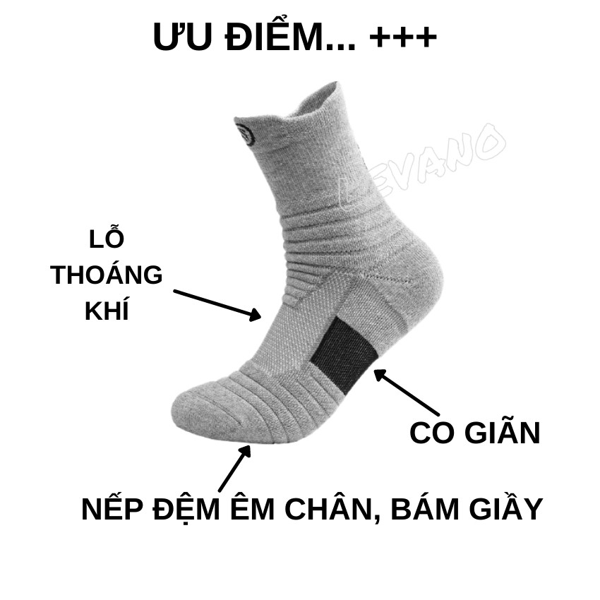 Tất nam cao cổ công sở LEVANO chất liệu cotton co giãn 4 chiều hút ẩm hạn chế thối chân SIZE 35-45 T010