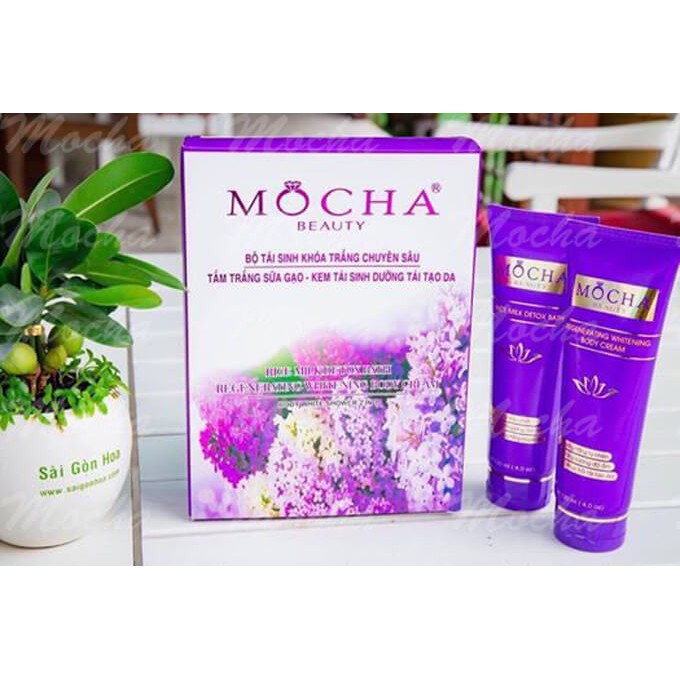 Bộ tái sinh khóa trắng Mocha