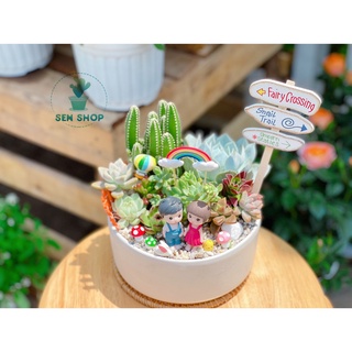Chậu men trồng cây ( trụ thấp màu pastel)