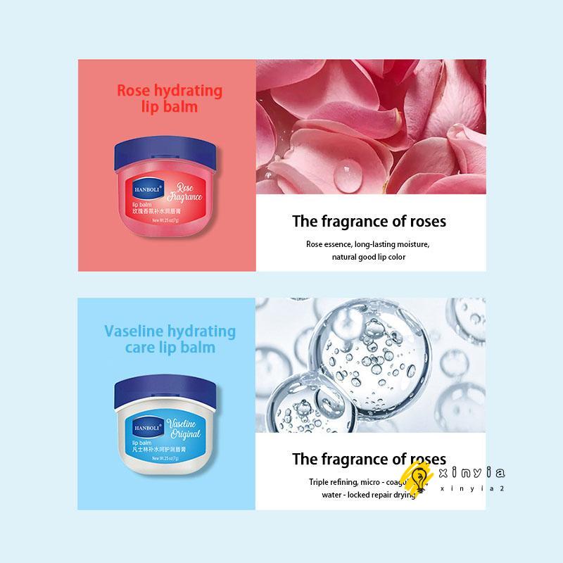 Dưỡng môi VASELINE 7g dạng hũ LOẠI RẺ cho KHÁCH SỈ đủ vị