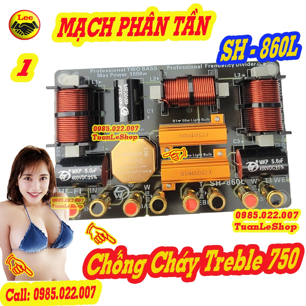 MẠCH FULL ĐÔI CÔNG SUẤT LỚN, MACH LOA CHỐNG CHÁY TREBLE 750 - 2 BASS + 1 TREP  SH - 860L GIÁ 01 MẠCH