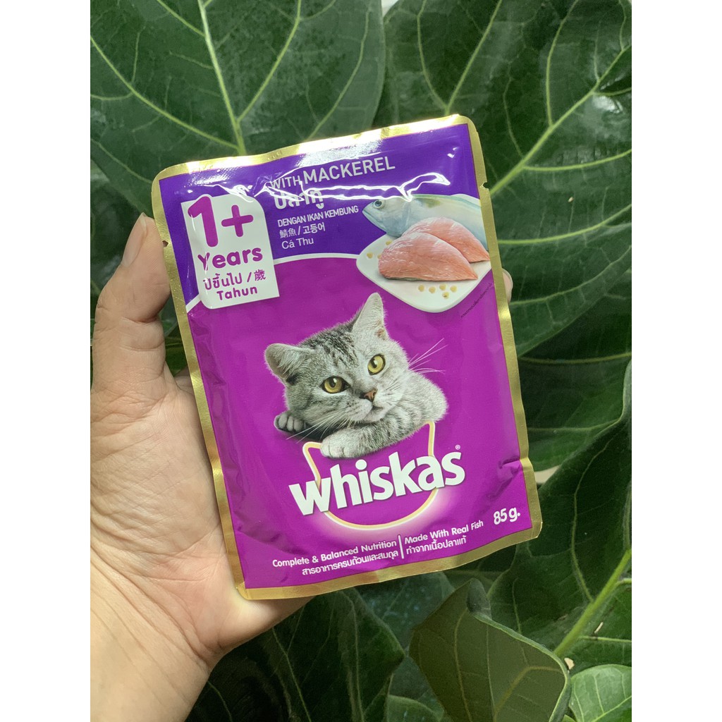 Thức ăn Pate gói  Whiskas mèo lớn, mèo con Junior 85g đủ vị theo yêu cầu