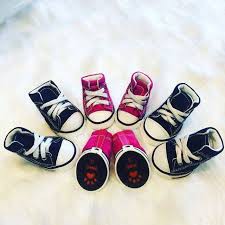 Giày thể thao converse dành cho thú cưng (giao màu ngẫu nhiên)