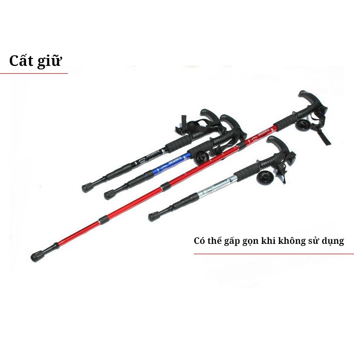 Gậy leo núi đi rừng trekking GA2