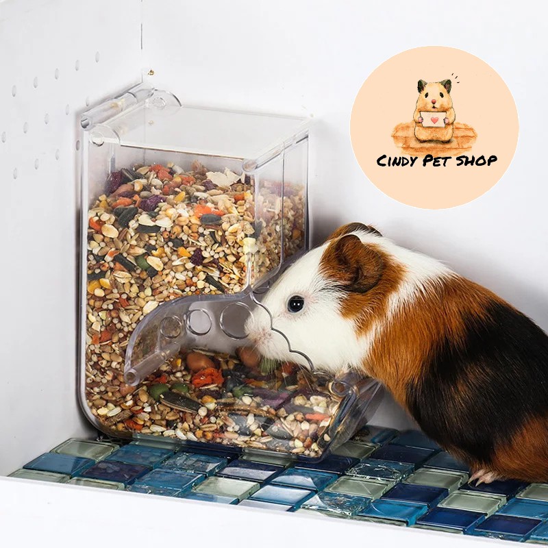 Máng ăn tự động cho Hamster - mica trong dễ dàng vệ sinh tẩy rửa