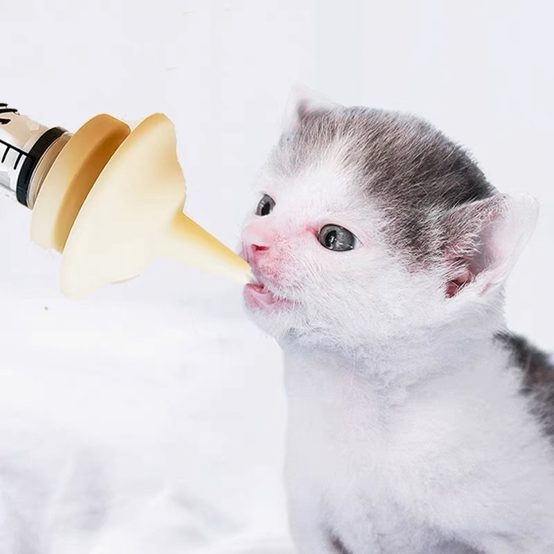 Bình sữa chuột hamster thú con Bơm tiêm 10ml Núm vú giả mèo con chó con chuột hamster sóc