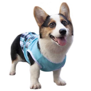 Quần áo cho chó mèo hai chân Teddy Bichon Pomeranian Corgi thú cưng nhỏ mùa xuân và hè gầy