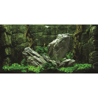 Tranh phông nền dán hồ cá Aqua_002