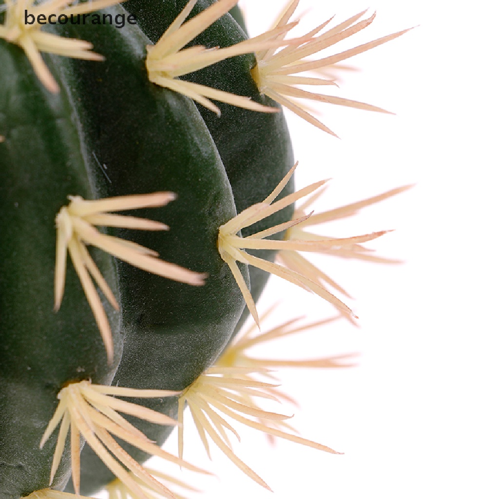 1 Ăng Ten Hình Cây Xương Rồng Trang Trí Xe Hơi