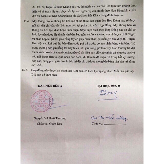 Nấm Sbody Green Coffee ( Cam Kết Chính Hãng ) | BigBuy360 - bigbuy360.vn