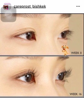 Dài mi Ấn Độ siêu dài