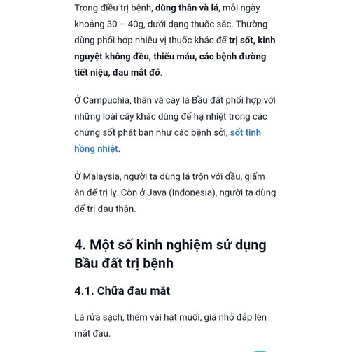 Cây RAU BẦU ĐẤT nhiều công dụng.