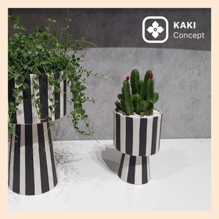 Chậu cây trồng sen đá, xương rồng - Chậu cây đẹp KAKI Concept