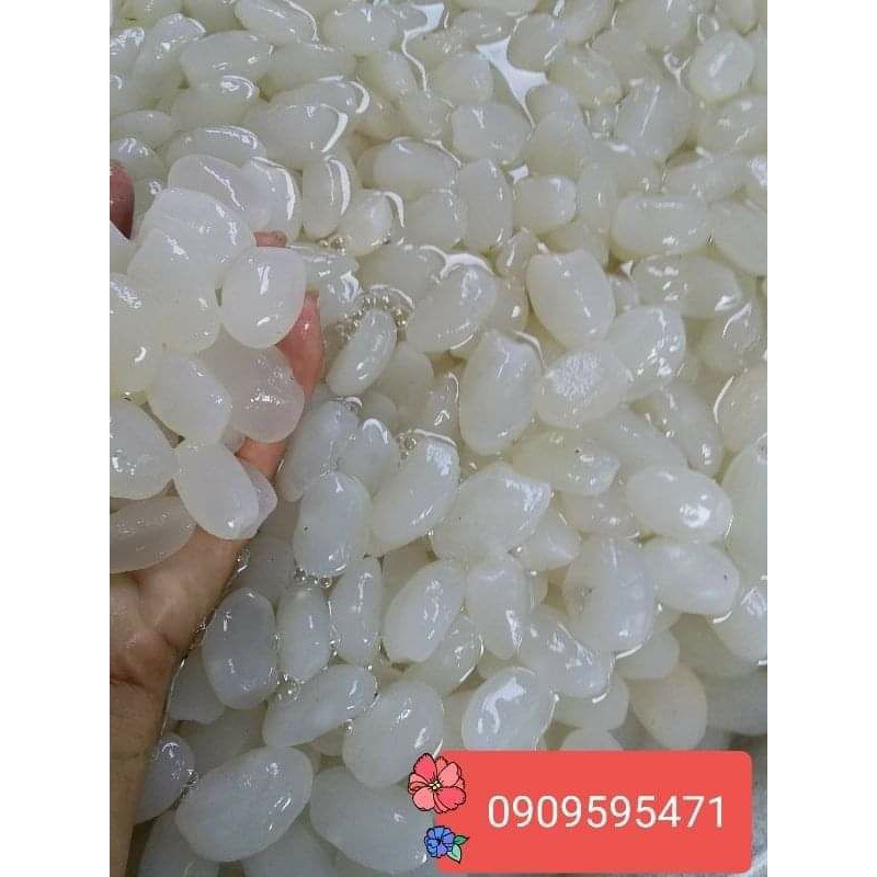 1kg hạt đác tươi