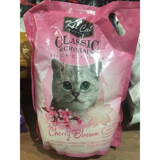CÁT THỦY TINH KITCAT