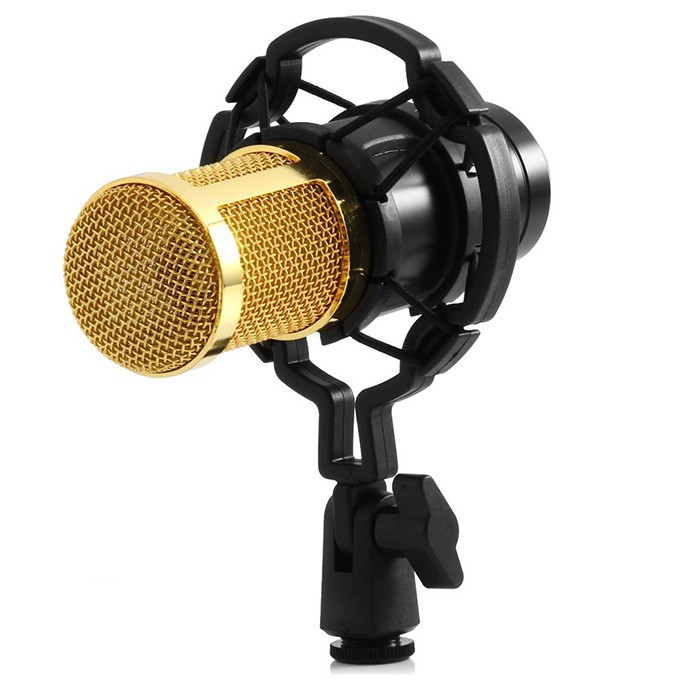 Combo micro hát livestream thu âm online micro BM900 và Sound card v8