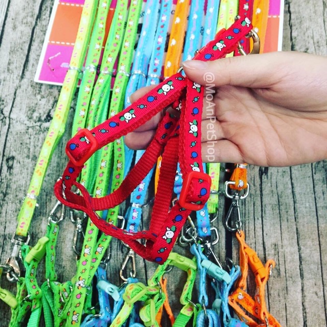 Dây dẫn Yếm cho Thú cưng