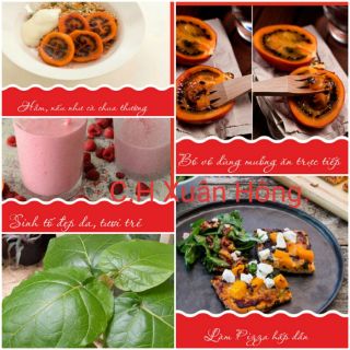 Cây cà chua thân gỗ