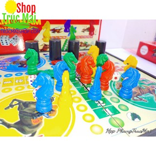 Cờ Cá Ngựa Nam Châm Cao Cấp