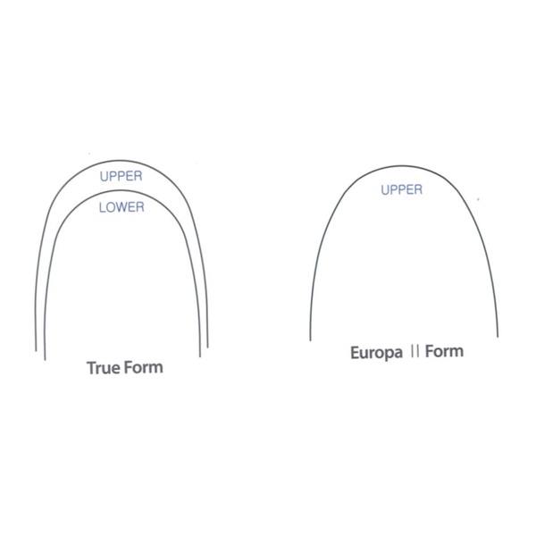 Dây Niti nong rộng nhiệt 35+ Europa II, dây cung chỉnh nha _Hàn Quốc