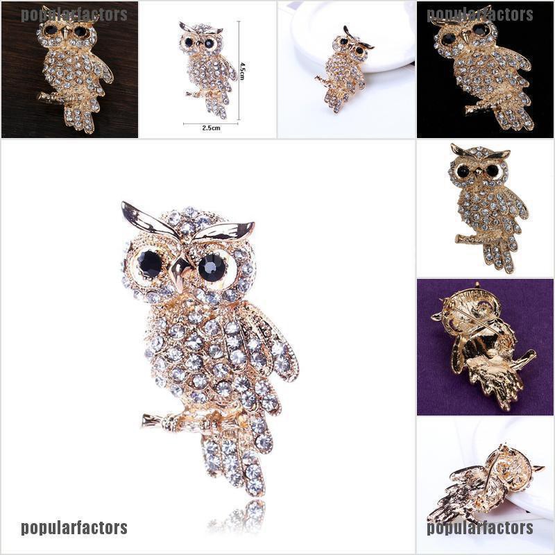 Ghim cài áo hình chim cú đính đá dễ thương