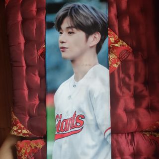 Slogan vải kang daniel bóng chày able