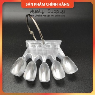 Móng Que Tập Sơn Tập Vẽ Móng Que Vương Miện
