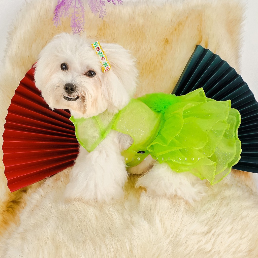 Áo đầm Hè đẹp chó mèo Hihapet, quần áo mát mẻ cho thú cưng mẫu thiết kế đầy màu sắc phong cách Hàn Quốc giá rẻ.