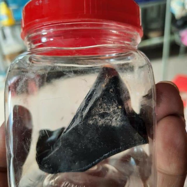 Keo bẫy chim