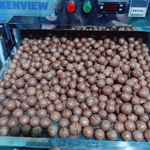 Macca Đăk Lăk 500gr - An An shop