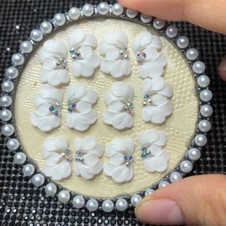 hoa bột nail