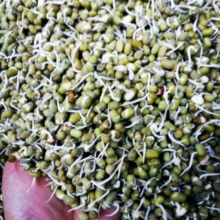 Combo,  bột  đậu  xanh,  bỏng  hạt,  chè  lam,  bột  sắn  dây