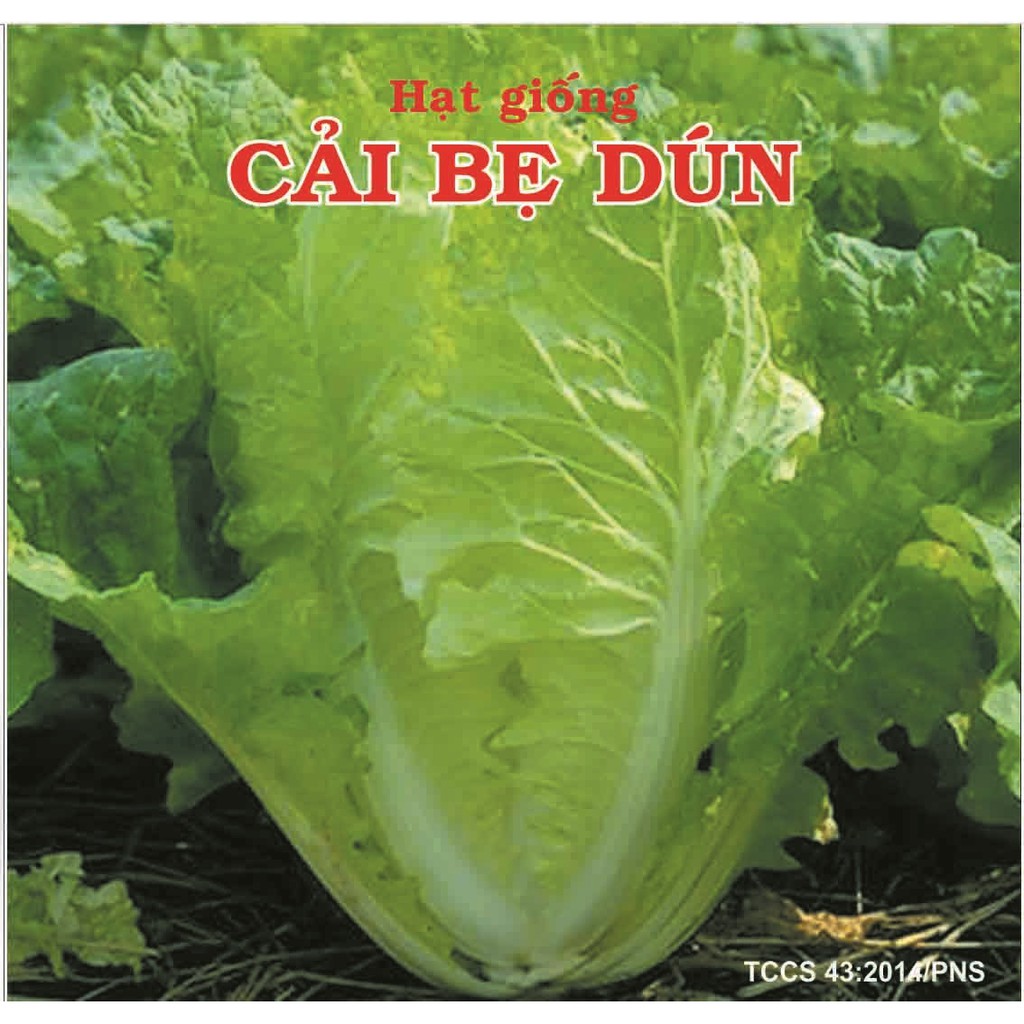 Hạt giống cải bẹ dún PN (20gr)