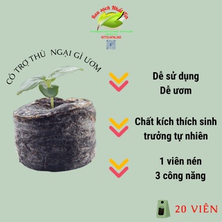 🌱 [Cực rẻ] Viên nén xơ dừa ươm hạt, ươm kie Lan Nhất tín Huế 🌱
