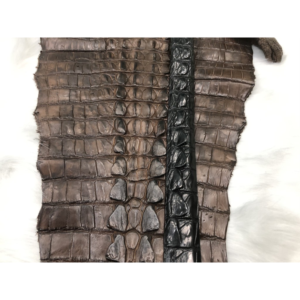 Dây Liền cá sấu Thật 100% loại 4 phân - Hàng Công Ty giá Sỉ