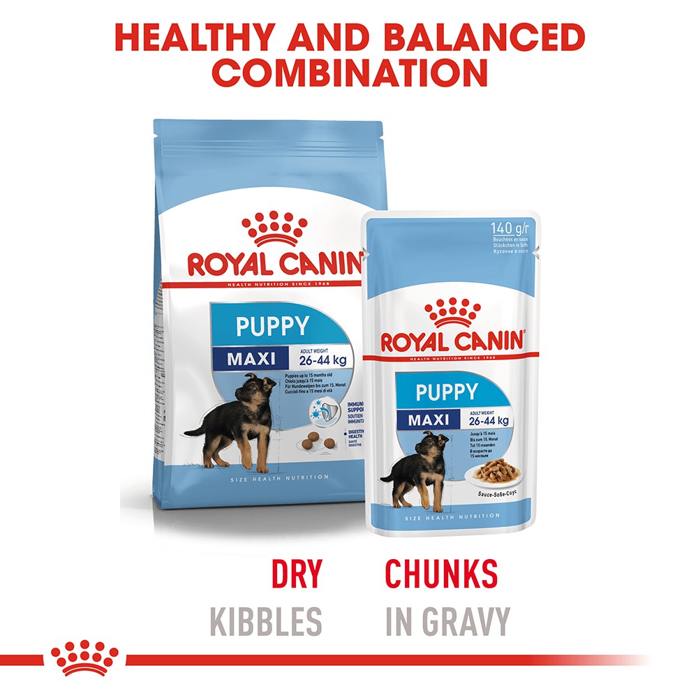 [Hộp 10 Gói] Pate Royal Canin Maxi Puppy Cho Chó Con Giống Lớn (140g)