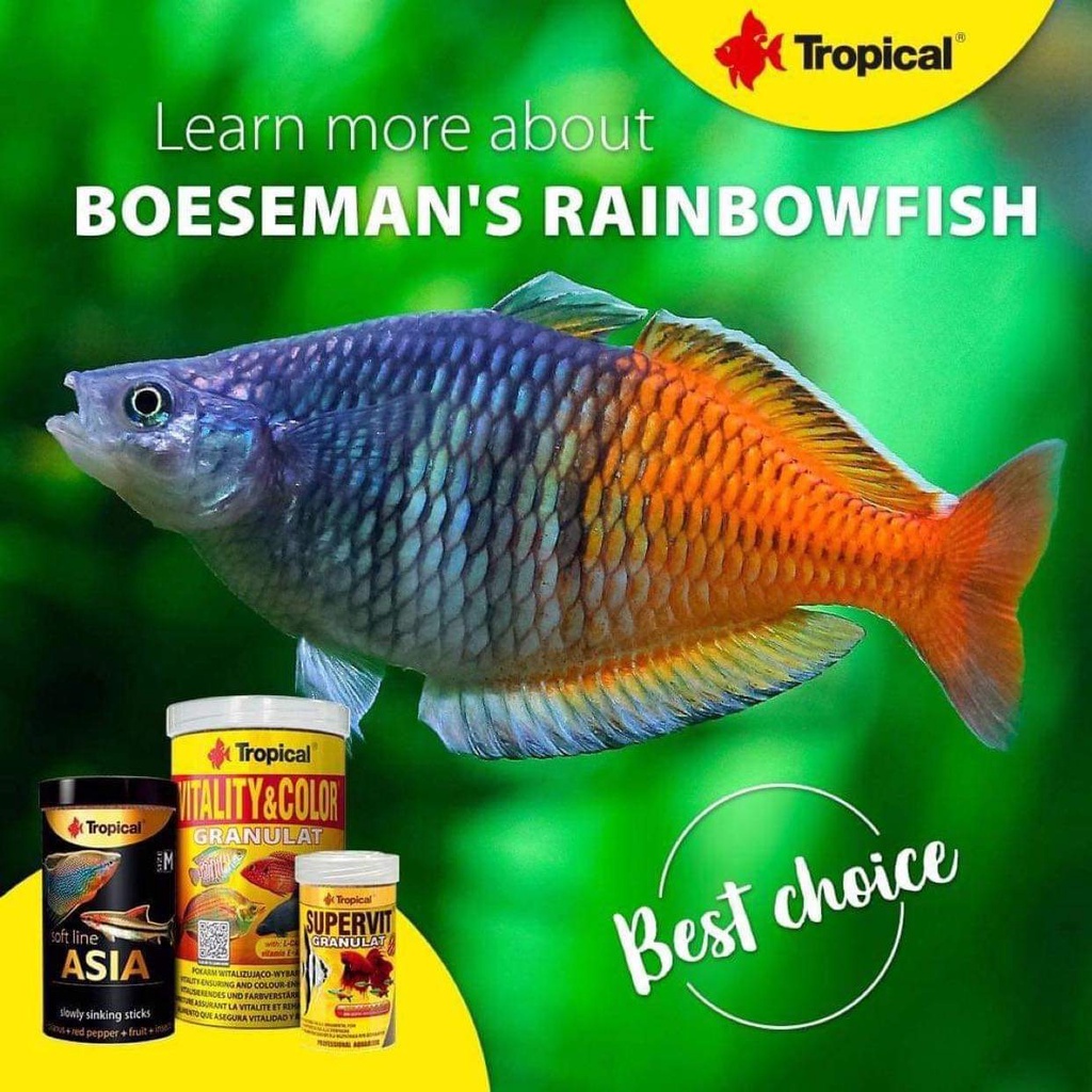TROPICAL SUPERVIT - Thức ăn Cao cấp cho Các dòng Cầu vồng, thần tiên, đĩa, hải hồ, ali...