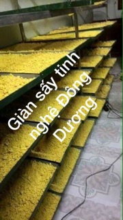 tinh bột nghệ Đông Dương