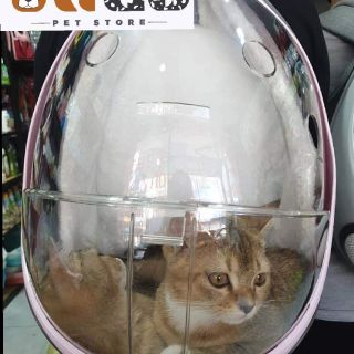 Balo bọ dừa trong suốt cho chó mèo