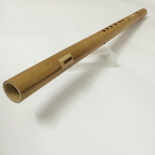 Sáo mèo việt ( Tone nam)