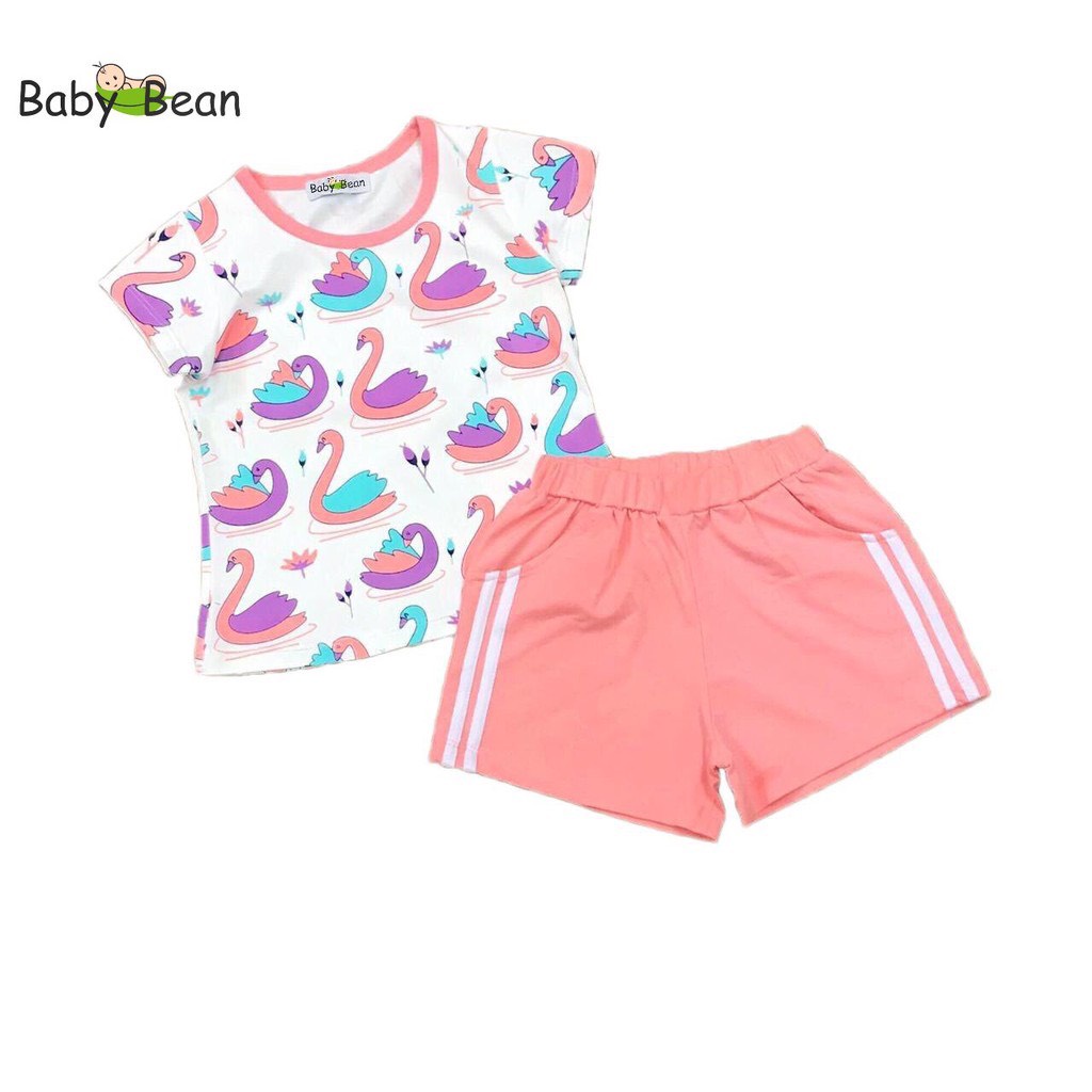 Bộ Đồ Thun Cotton in Hình Thiên Nga Bé Gái BabyBean (8kg-50kg)