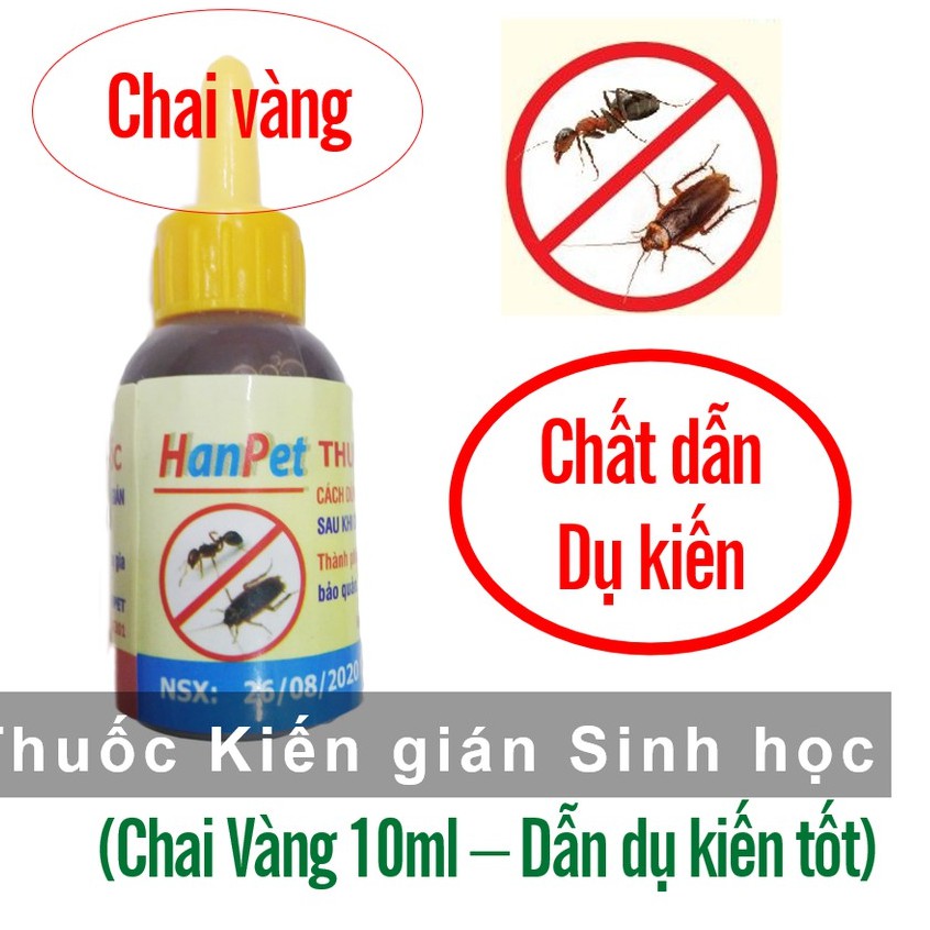 Thuốc diệt kiến sinh học (chai vàng 10ml) dẫn dụ kiến tốt hơn kiến bu nhiều hơn nên diệt kiến hiệu quả hơn