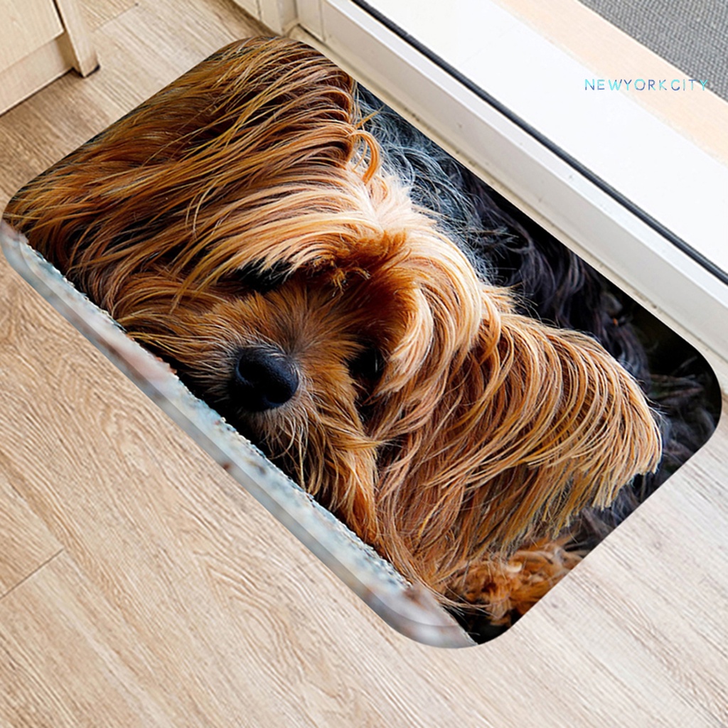 Thảm Chùi Chân Chống Ẩm Siêu Thấm Hút Tiện Dụng Cho Gia Đình