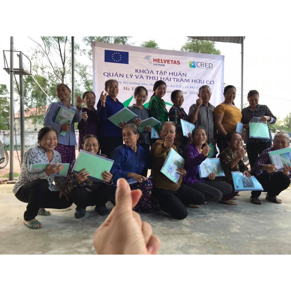 Tinh Dầu Viên Minh - Tinh Dầu Tràm Giảm Béo Body Fit V2 50ml